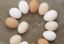 Hófleg eggjaneysla er í lagi