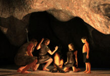 Fornsteinaldarfæðið ekki endilega heppilegt