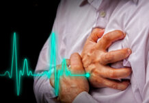 Limurinn er lykillinn að hjartanu