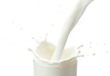 Broddur gæti verið staðgengill stera