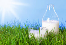 Áhrif kalkneyslu á léttingu minni en talið var