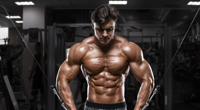 Vöðvamassi hefur ekki áhrif á nýtingu prótíns