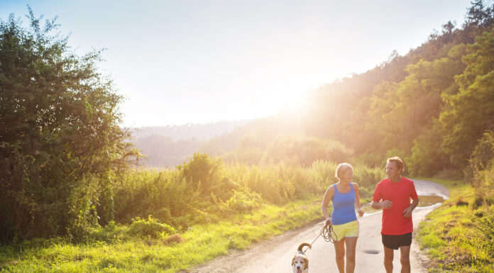 Samband á milli mikillar kviðfitu og æðakölkunar